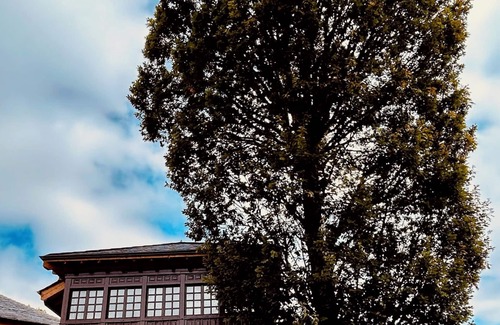 Oballo Apartment | Rural apartments in full nature