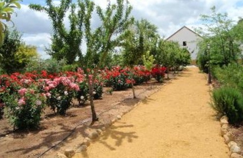 Carmona Cottage | Rural apartment La Hacienda de San José 1