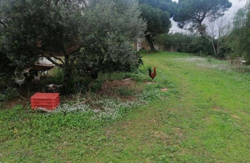 San Ambrosio Cottage | Rural house Los Olivos near the Sunshine tour