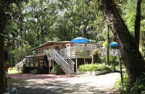 Homosassa Cabin | Rustic 2 Bedroom Tropical Treehouse on Yulee