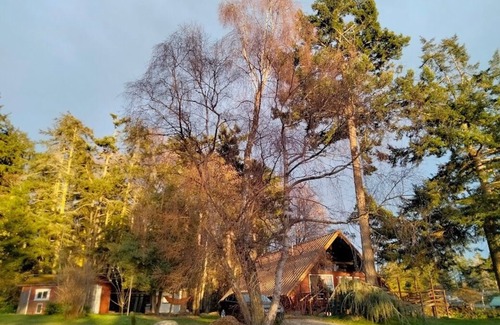 Oak Harbor Ski Chalet | Rustic A-Frame Retreat 5 mins from Deception Pass