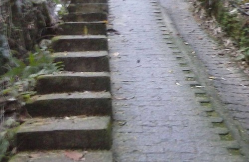 Barra do Sahy House | Rustic and charming house on the hill of Sahy