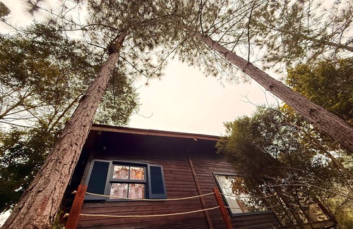 Camboriu Ski Chalet | Rustic chalet in the middle of the forest 14 km from Balneário Camboriú, super private.