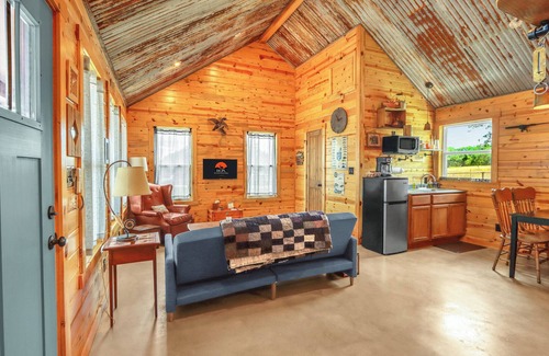 Wimberley Cabin | Rustic Cottage w/Firepit, Pickleball & Porch