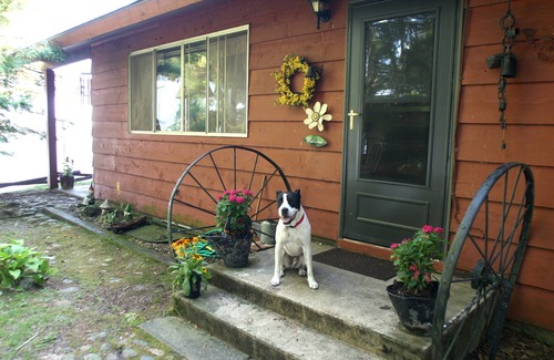 Cass Lake Cabin | Rustic, Cozy, Lakefront Cabin On Leech Lake- Perfect For Families & Fisherfolk