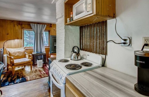 Idaho Springs Cabin | RUSTIC FUNK WATERFRONT Pet Friendly CABIN