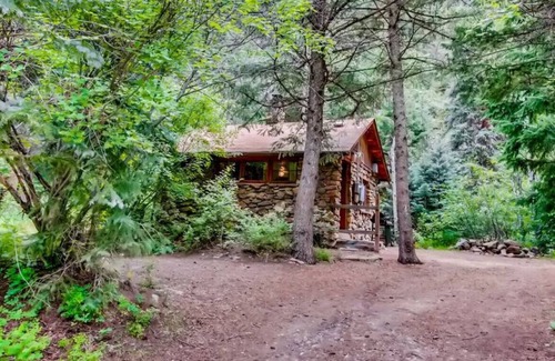 Idaho Springs Cabin | RUSTIC FUNK WATERFRONT Pet Friendly CABIN