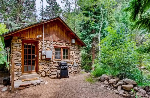 Idaho Springs Cabin | RUSTIC FUNK WATERFRONT Pet Friendly CABIN