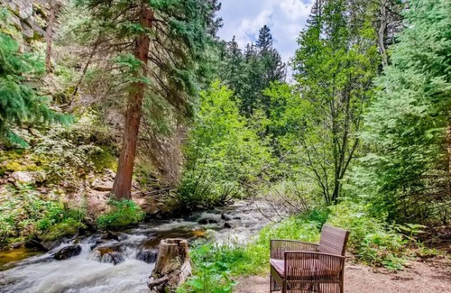 Idaho Springs Cabin | RUSTIC FUNK WATERFRONT Pet Friendly CABIN