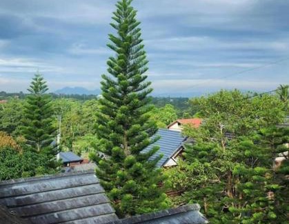 Tagaytay House | Rustic Log Cabin in Tagaytay