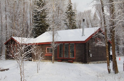 Moose Wilson Road Cabin | Rustic Log Cabin on 1/2 acre in the Woods