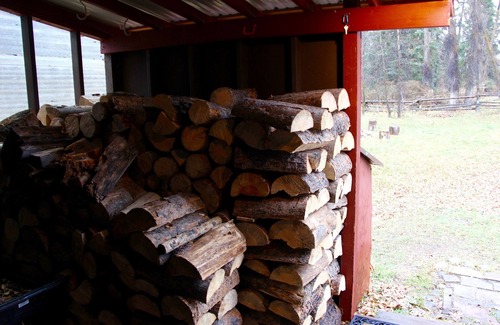 Moose Wilson Road Cabin | Rustic Log Cabin on 1/2 acre in the Woods