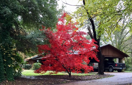 Grenada House | Rustic log cabin with 5 beds in a private setting, minutes Grenada Lake & town.