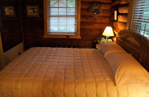 Blanchardville Cabin | RUSTIC, MAGICAL, LOG HOME IN SW. WI. ...TROUT STREAM, HIKING, NEARBY CANOEING