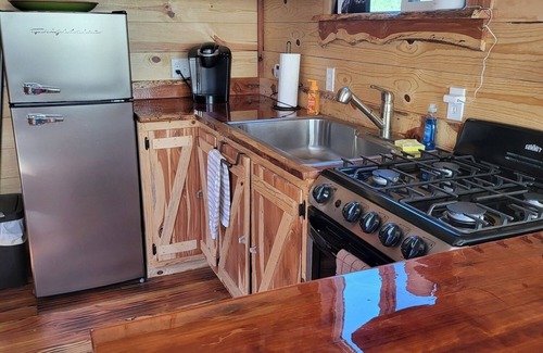 Hot Springs Cabin | Rustic Nest Tiny House
