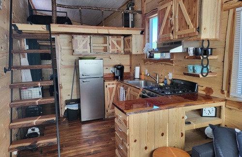 Hot Springs Cabin | Rustic Nest Tiny House