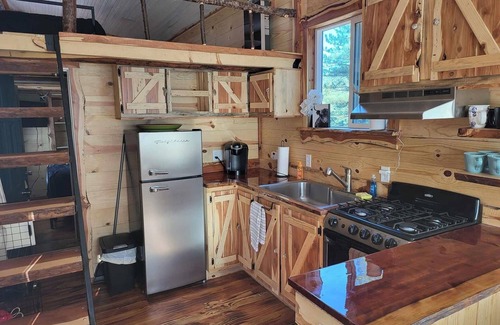 Hot Springs Cabin | Rustic Nest Tiny House