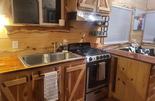 Hot Springs Cabin | Rustic Nest Tiny House