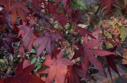 Moravian Falls House | Rustic, Peaceful and Quiet