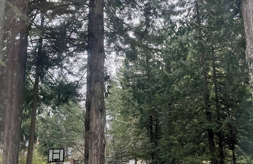 Saanich House | Rustic Romantic Quiet Private Colorful- Surrounded Cedar trees - Sleeps 8