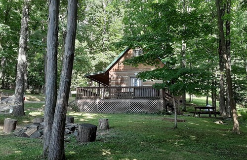 Warrensville Cabin | Rustic, Secluded Cabin-Walk to River-Hot tub-Close to Downtown West Jefferson
