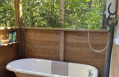 Mara Cabin | Rustic Solar cabin in the woods off grid glamming at its finest near Mara lake