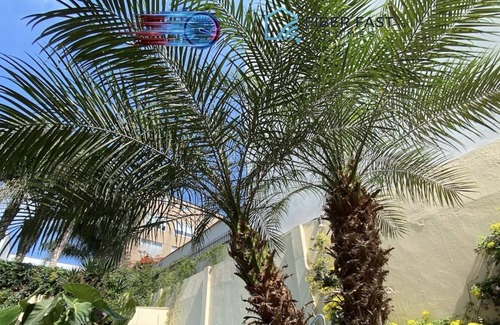 San Isidro Villa | Rustical Place in Historic Forest Olivar