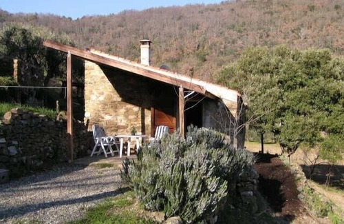 Gavorrano Other | Rustico, countryside, 1.6 hectometer large property, w/olive trees & vineyard