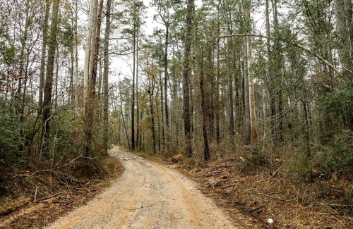 Mittie RV Rental | RV Slot Only with WiFi in charming Mittie. Near Kinder. Hunting and Fishing.