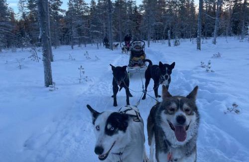 Grondalen Other | Sæteråsen Hytter & Camping Trysil