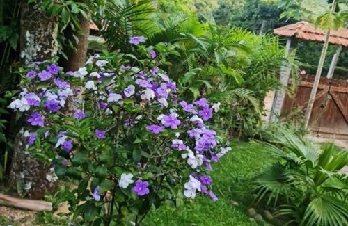 Petropolis House | Sítio Borges