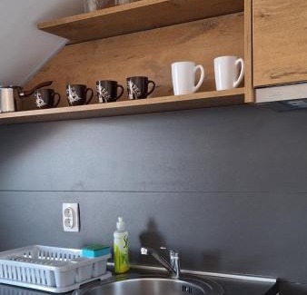 Jagodina Apartment | S-Apartmani Cocetova