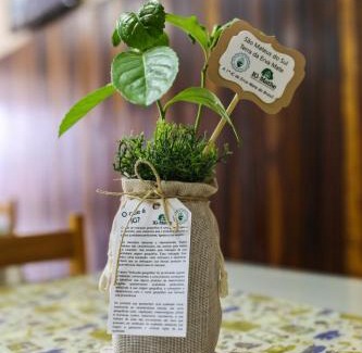 Sao Mateus do Sul Hotel | Sadas Hotel