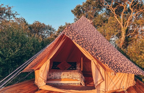 Helston RV Rental | ‘Safari Belle’ @ Trenoon Meadow Glamping (adults only)