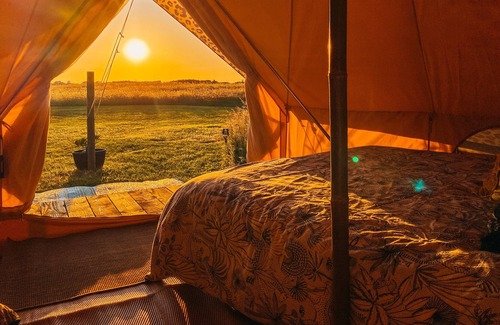 Helston RV Rental | ‘Safari Belle’ @ Trenoon Meadow Glamping (adults only)