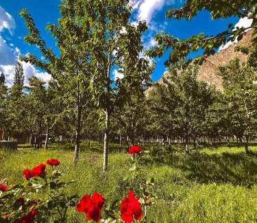 Skardu Resort | Safari Resort Skardu