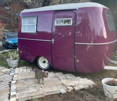 Archamps Other | Salève Glamping