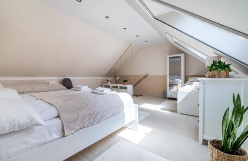Szeged House | Salix Guesthouse by Mital