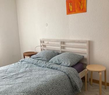 Mulhouse Apartment | SAMBA appartement de charme 5 pers, arrière cour, patio