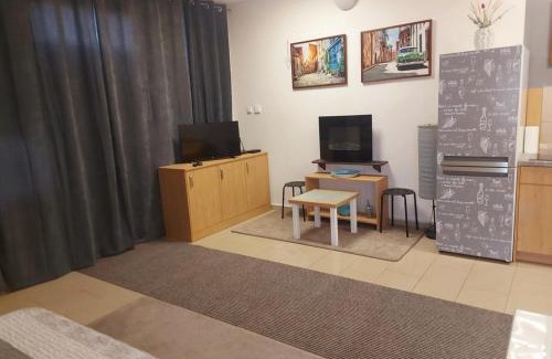 Ciechanow Apartment | Samodzielny domek Studio - 35m2 centrum Ciechanów