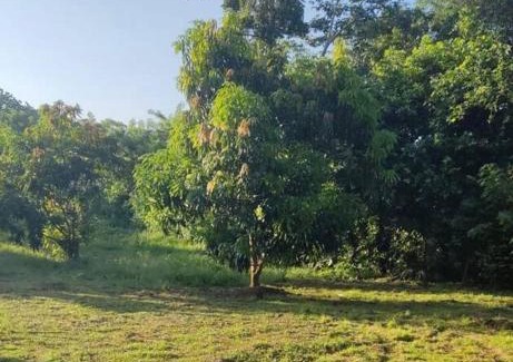 San Antero House | San Antero Cabaña de Oro