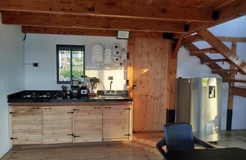 Curiti Ski Chalet | San Luis Cabaña