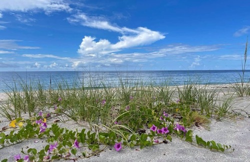 Englewood House | Sandpiper Cove Retreat...Sun, Sand, & Steps to Stump Pass...Kayaks, SUP's, & Bik
