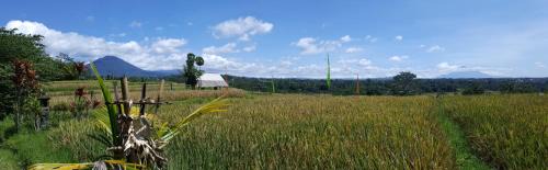 Penebel Other | Sang Giri Mountain Tent Resort