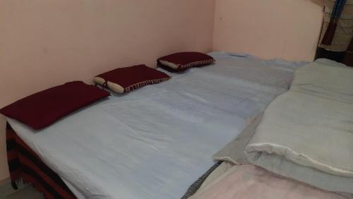 Naini House | Sangam guest house