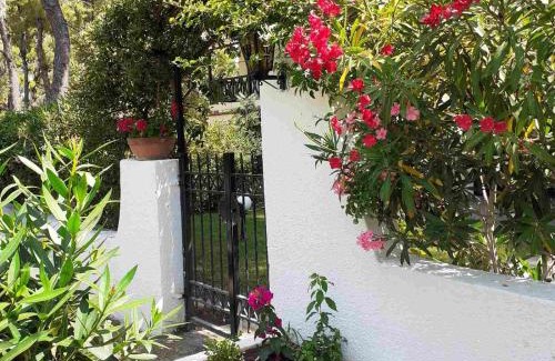 Sane Villa | Sani villa of traditional architecture