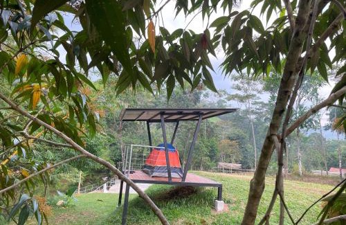 San Rafael Other | Santa María del Río