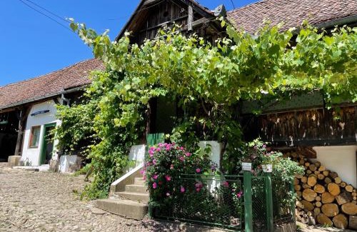 Saschiz House | Saschiz 130/Lodging and Glamping