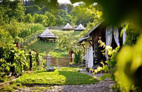 Saschiz House | Saschiz 130/Lodging and Glamping