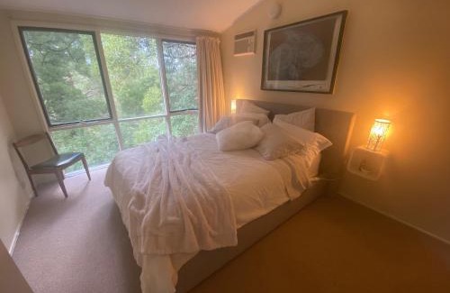 Sassafras House | Sassafras Treehouse Private home in the Dandenong Ranges, Victoria